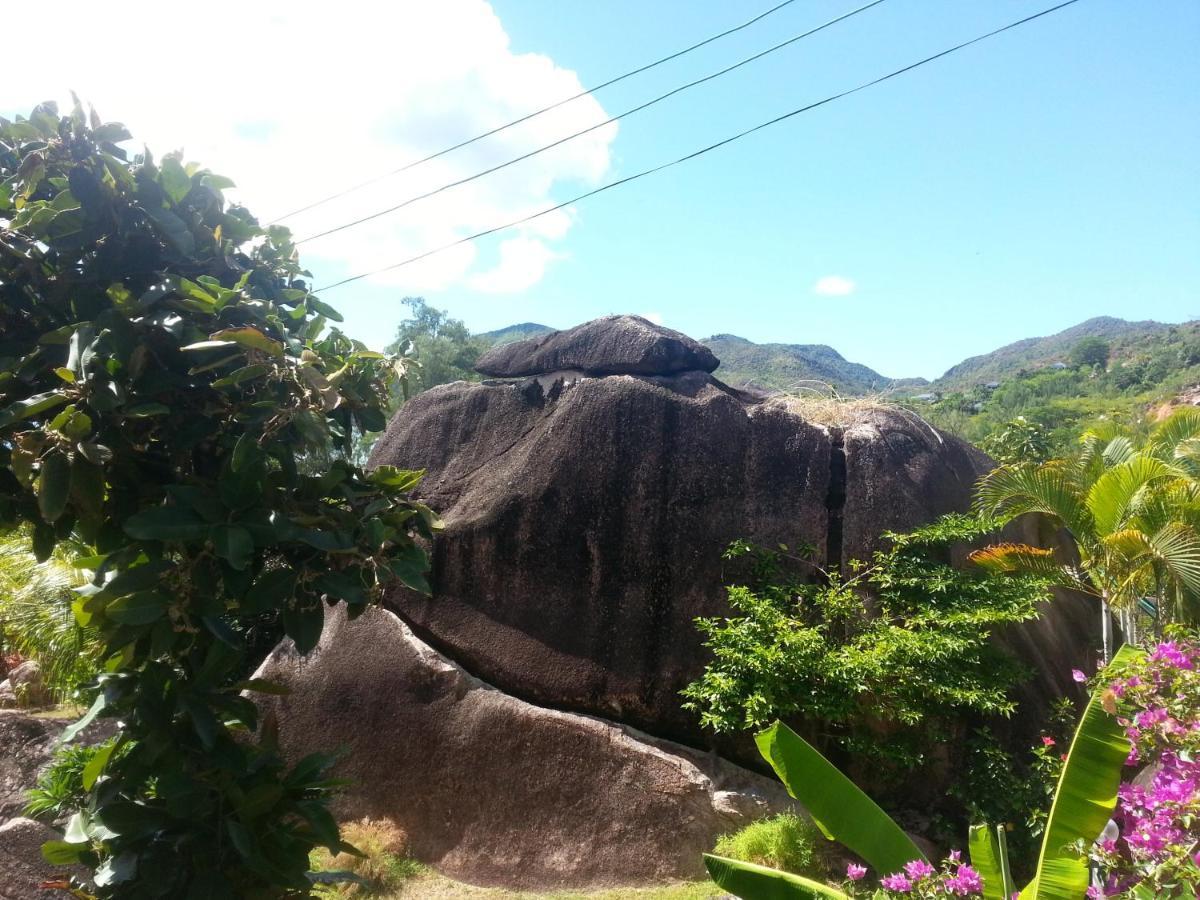 Jardin Marron Apartment Baie Sainte Anne Luaran gambar