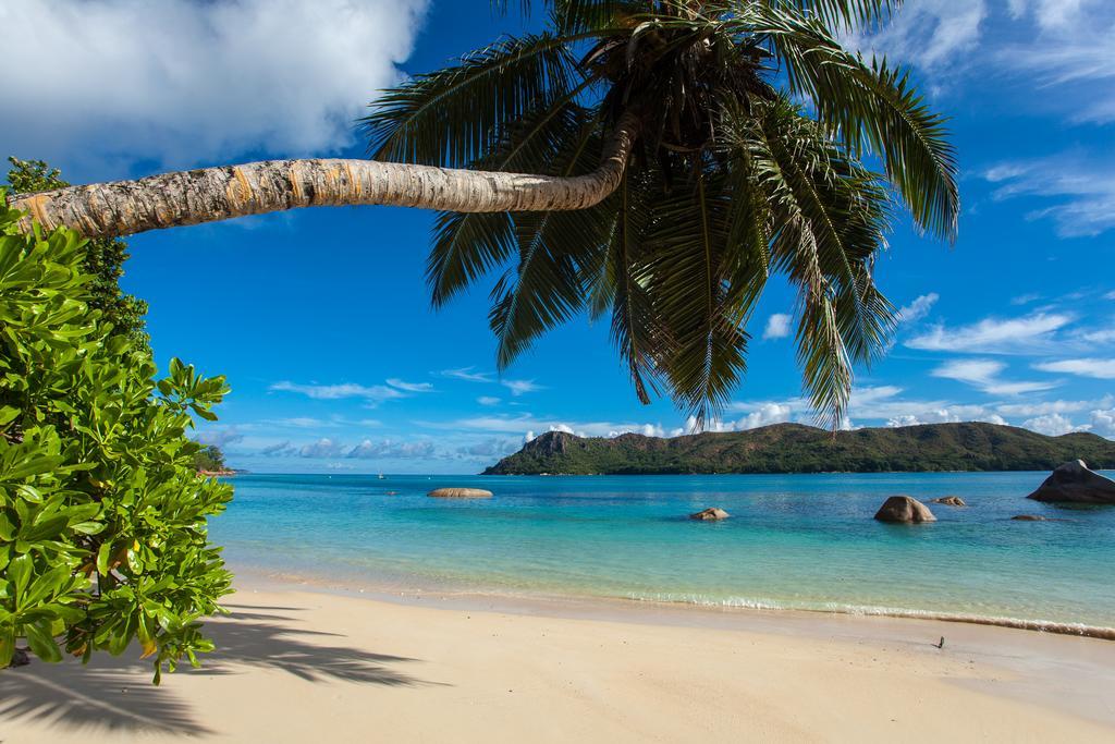 Jardin Marron Apartment Baie Sainte Anne Luaran gambar