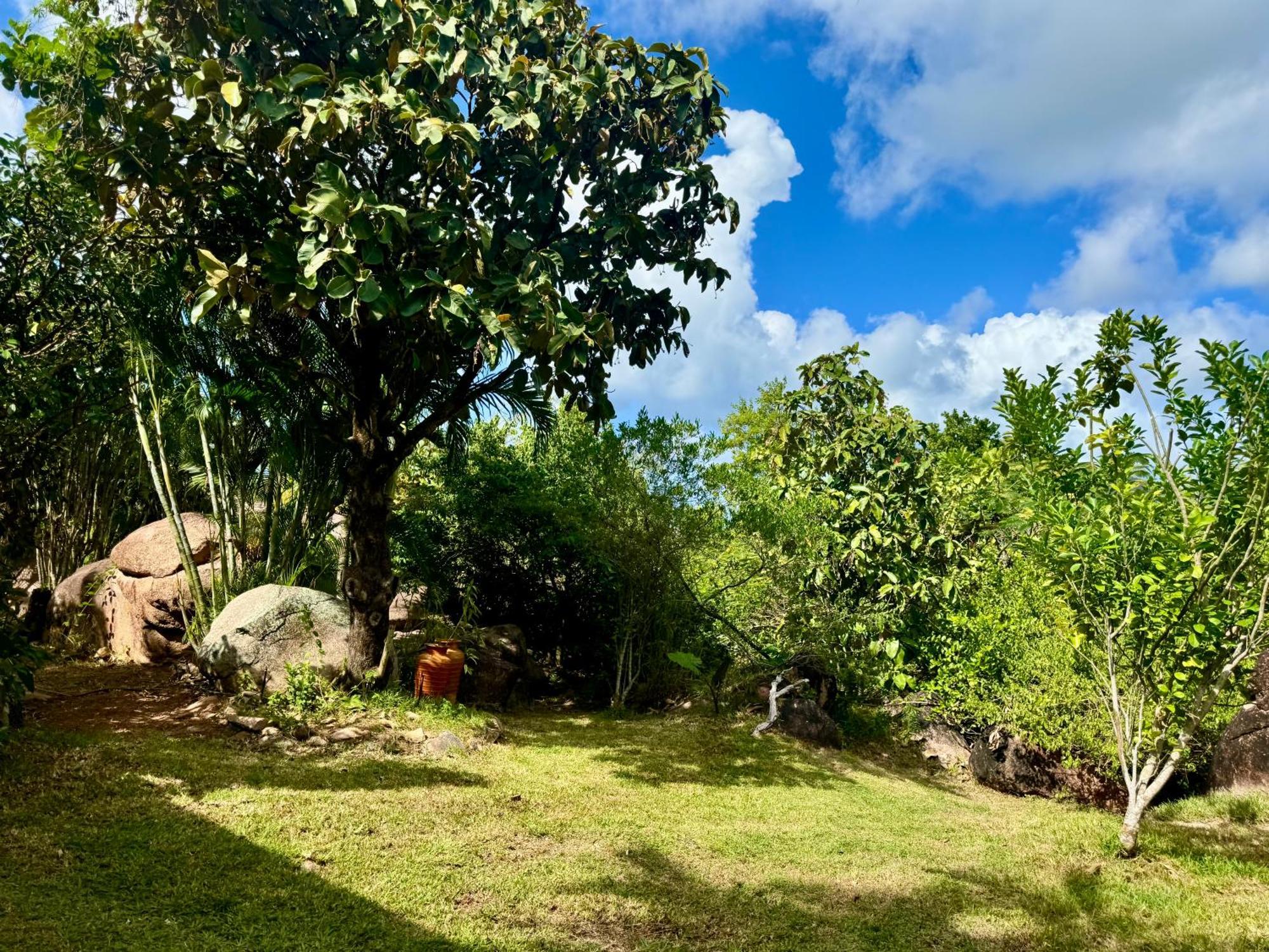 Jardin Marron Apartment Baie Sainte Anne Luaran gambar