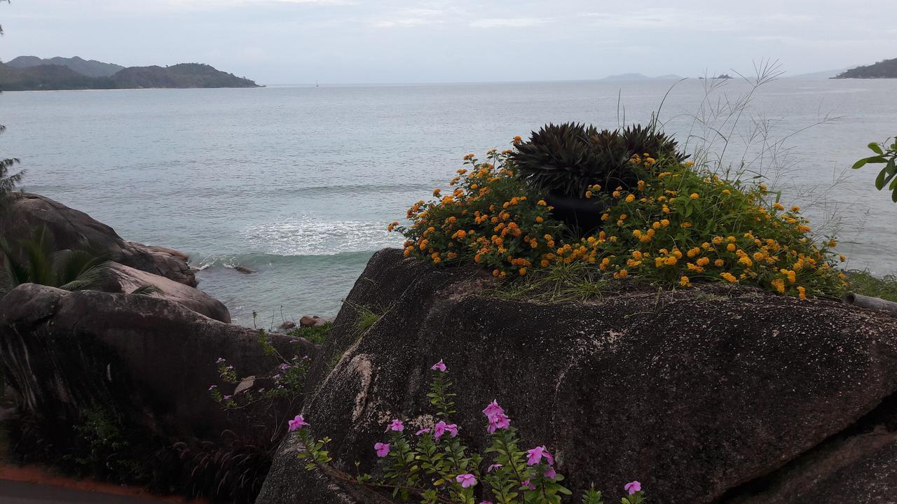 Jardin Marron Apartment Baie Sainte Anne Luaran gambar